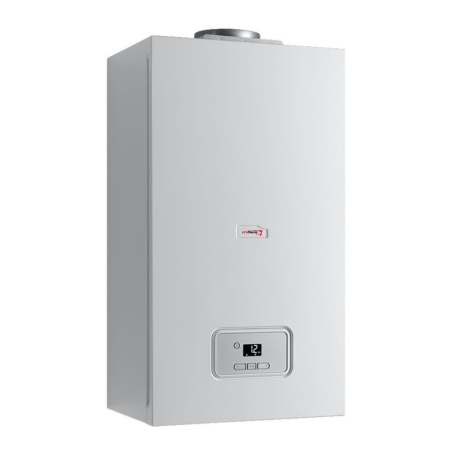 Настенный газовый котел Protherm Гепард 12 MOV (двухконтурный) атмосферный
